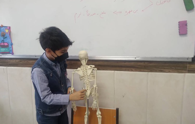 زنگ علوم: آشنایی دانش آموزان با مهره داران و برگزاری ارزشیابی علوم