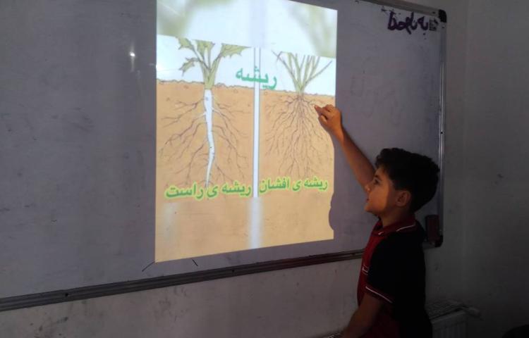 زنگ علوم: آشنایی دانش آموزان با گیاهان 1