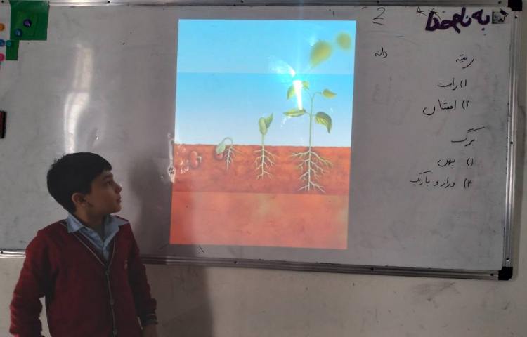زنگ علوم: آشنایی دانش آموزان با گیاهان 4