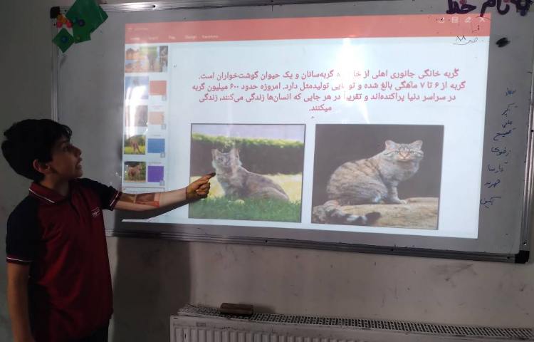 زنگ علوم : ارائه تحقیق در مورد پستانداران توسط دانش‌آموزان 1