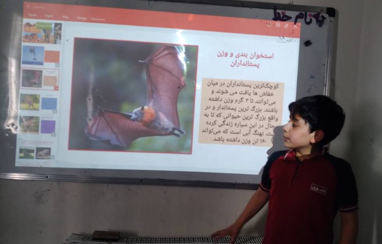 زنگ علوم : ارائه تحقیق در مورد پستانداران توسط دانش‌آموزان 4