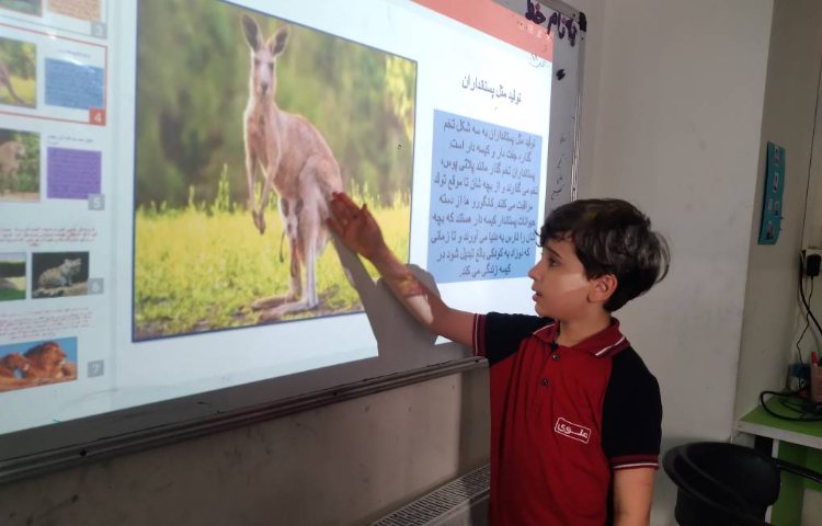 زنگ علوم : ارائه تحقیق در مورد پستانداران توسط دانش‌آموزان 5