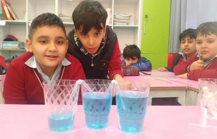 زنگ علوم : انجام ازمایش‌های هفته علوم (اسرار آب و ساحل شنی) 5
