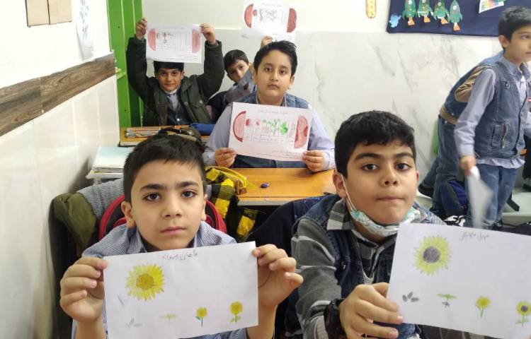 زنگ علوم: انجام کاربرگ مراحل کاشت لوبیا و آفتابگردان مربوط به درس بکارید و ببینید 1