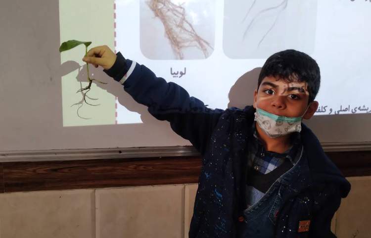 زنگ علوم: بررسی ریشه و برگ گیاه لوبیا مربوط به درس بکارید و ببینید 1