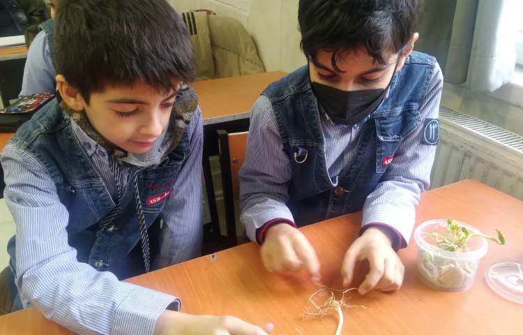 زنگ علوم: بررسی قسمت‌های مختلف گیاه مربوط به درس بکارید و ببینید 1