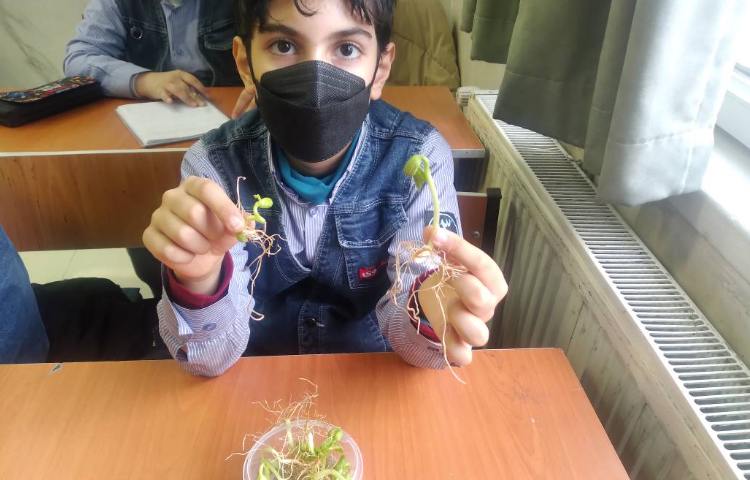 زنگ علوم: بررسی قسمت‌های مختلف گیاه مربوط به درس بکارید و ببینید 2