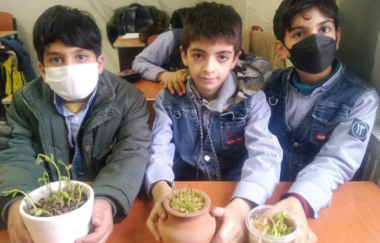 زنگ علوم: بررسی قسمت‌های مختلف گیاه مربوط به درس بکارید و ببینید