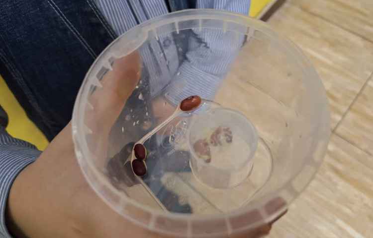 زنگ علوم تحقیقات انجام شده توسط دانش آموزان 7