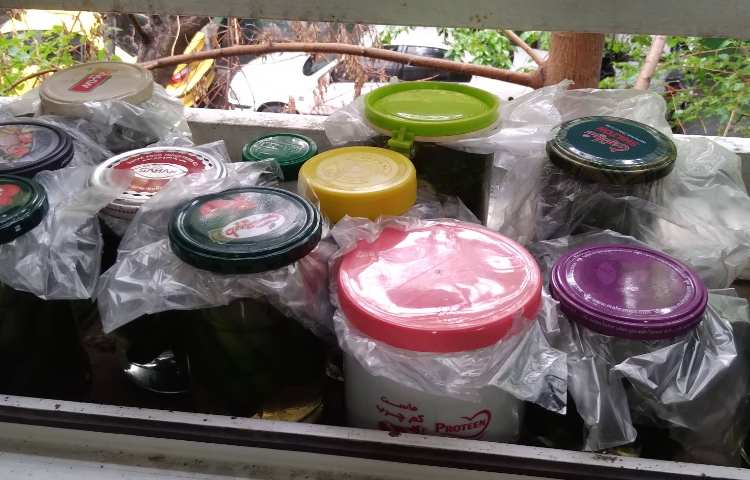 زنگ علوم: تهیه خیارشور (اشنایی با نگهداری موادغذایی) 1