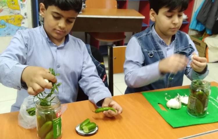 زنگ علوم: تهیه خیارشور (اشنایی با نگهداری موادغذایی) 2