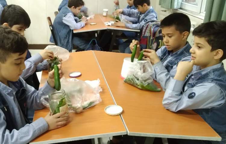 زنگ علوم: تهیه خیارشور (اشنایی با نگهداری موادغذایی) 3