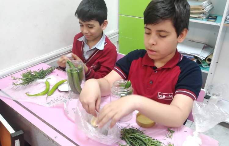 زنگ علوم : تهیه خیارشور 1