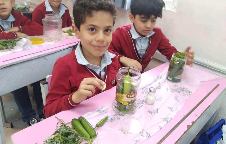 زنگ علوم : تهیه خیارشور 2