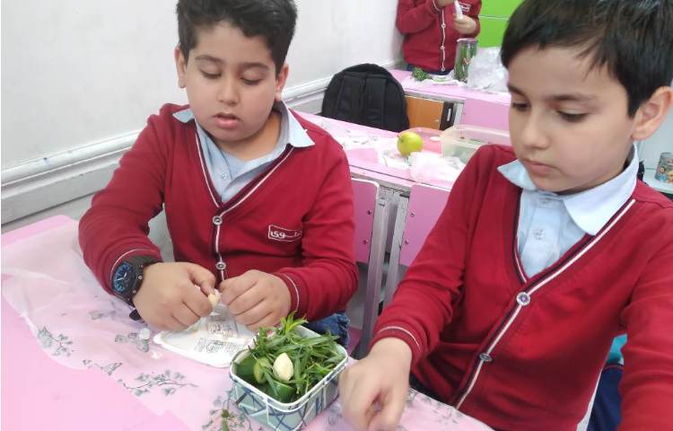 زنگ علوم : تهیه خیارشور 3