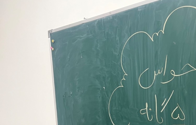 زنگ علوم حواس پنج گانه ( آزمایش مزه‌ها) 3