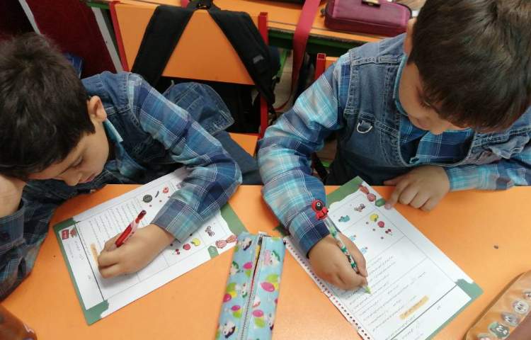 :زنگ علوم خودارزیابی و هم سال سنجی 1