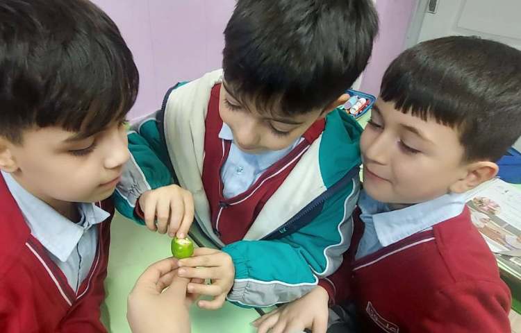 زنگ علوم خوش مزه (سرگذشت دانه) 1