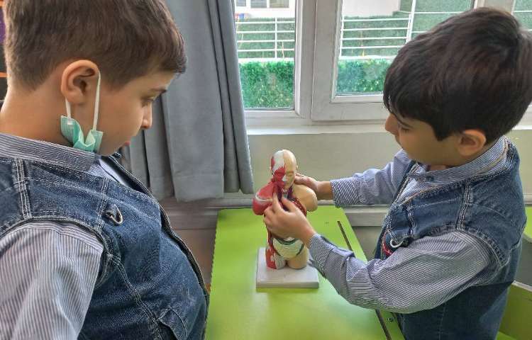 زنگ علوم درس نهم بدن ما 1