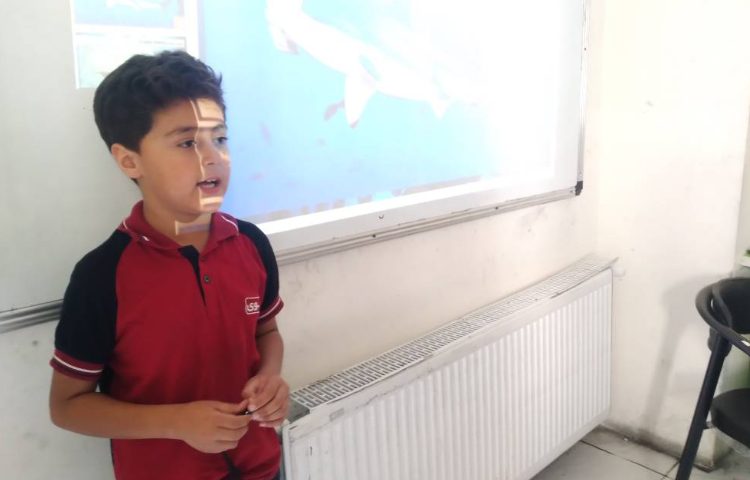 زنگ علوم: ساخت ماهی با شکل هندسی مخروط(تلفیق درس علوم و ریاضی) 5