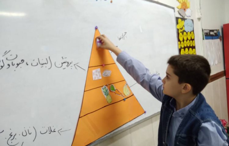 زنگ علوم: ساخت هرم موادغذایی 2