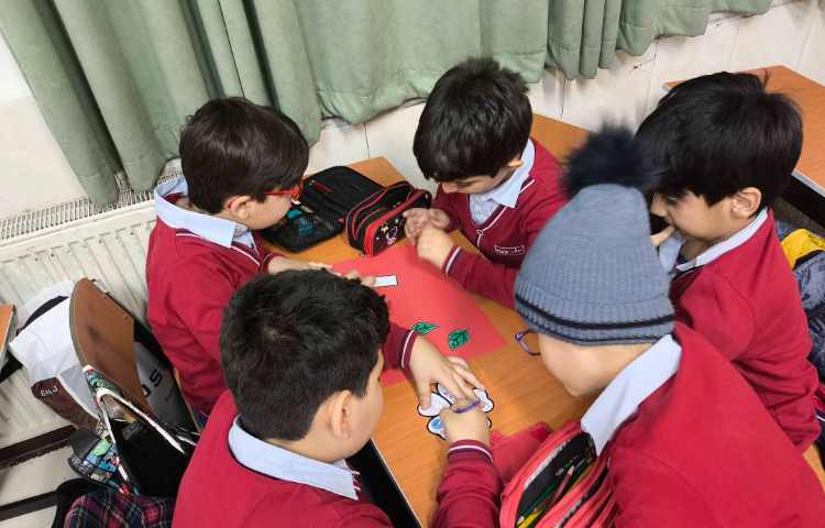 زنگ علوم ساخت کاردستی مراحل رشد دانه مقایسه نرمی و سفتی، تک دانه و چند دانه 6