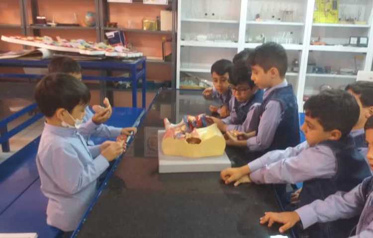 زنگ علوم شناخت اعضای درونی بدن 1