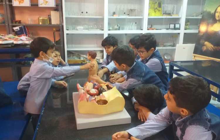 زنگ علوم شناخت اعضای درونی بدن 2