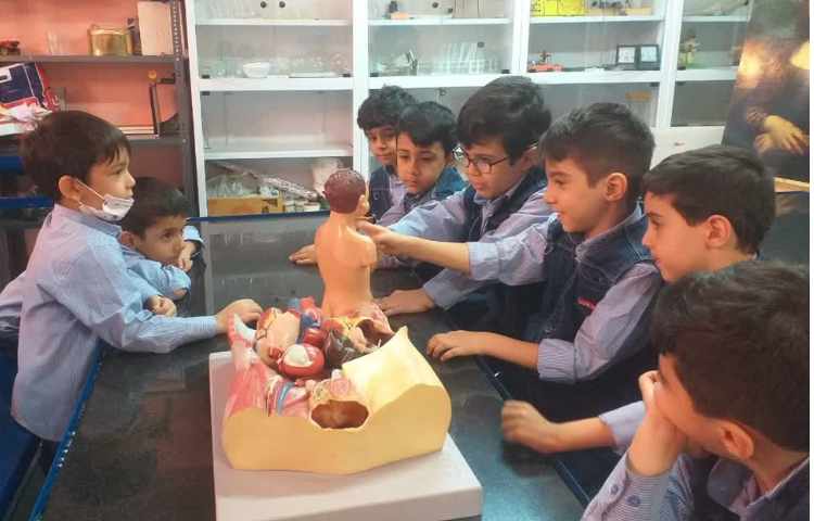 زنگ علوم شناخت اعضای درونی بدن 3