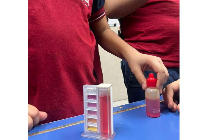 زنگ علوم شناساگر اسیدها و بازها 4