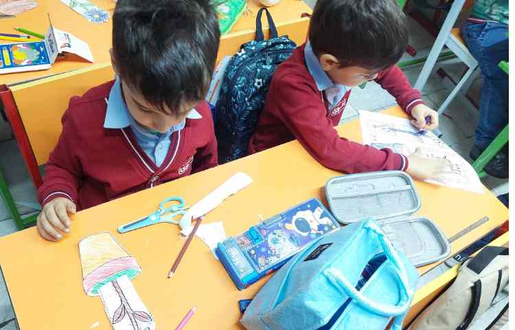 زنگ علوم ،قسمت های مختلف گیاهان 7