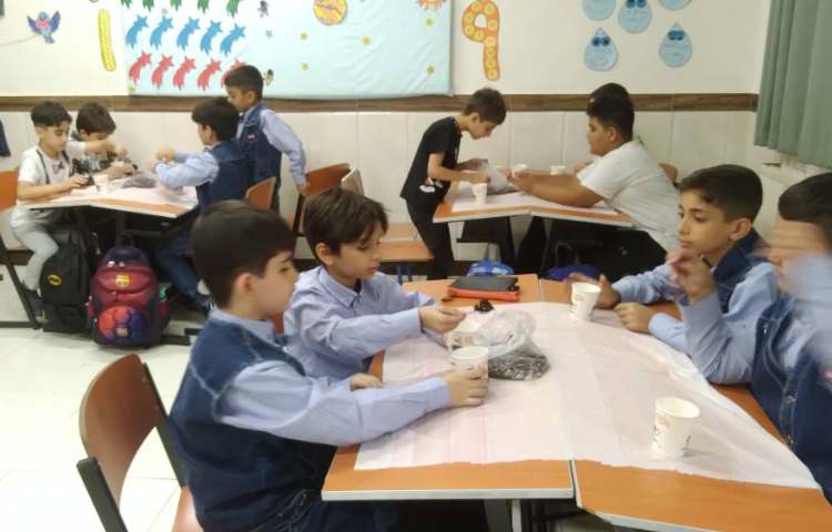 زنگ علوم: مراحل کار یک دانشمند و کاشت بذر ریحان 2