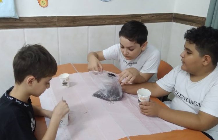 زنگ علوم: مراحل کار یک دانشمند و کاشت بذر ریحان 3