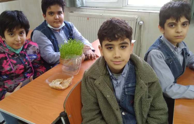 زنگ علوم: مشاهده و تفاوت دانه‌ها و برگ گیاهان یک قسمتی و دوقسمتی 2