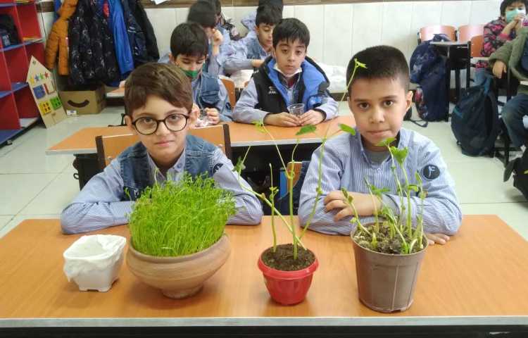 زنگ علوم: مشاهده و تفاوت دانه‌ها و برگ گیاهان یک قسمتی و دوقسمتی