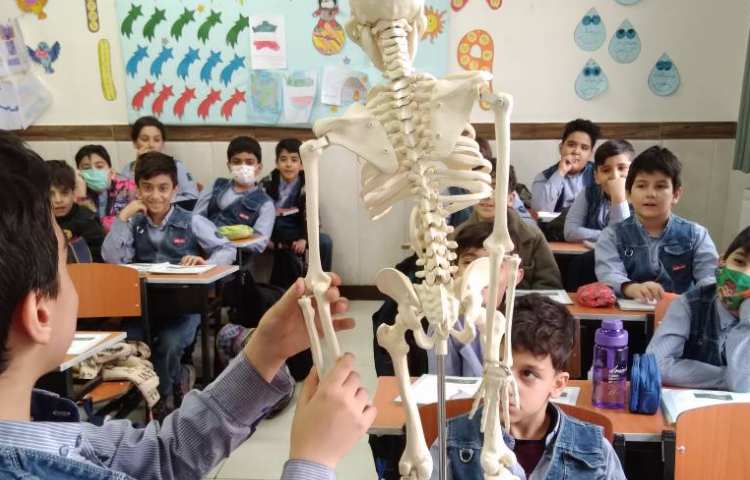 زنگ علوم: معرفی ستون مهره و آشنایی با جانوران مهره‌دار 1