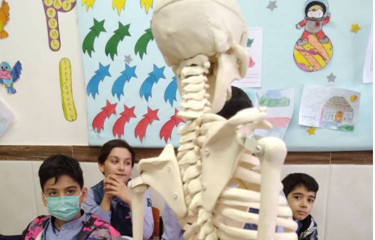 زنگ علوم: معرفی ستون مهره و آشنایی با جانوران مهره‌دار 2