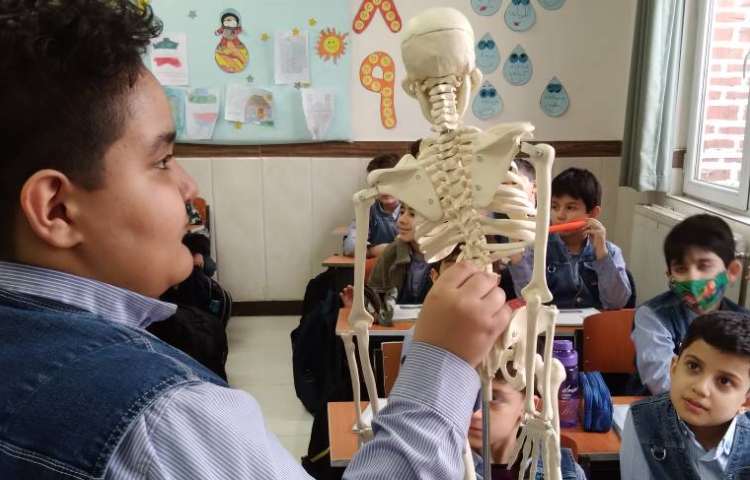 زنگ علوم: معرفی ستون مهره و آشنایی با جانوران مهره‌دار 3