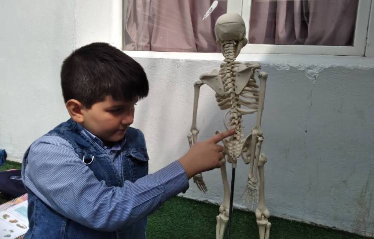 زنگ علوم: معرفی ستون مهره و شش 2