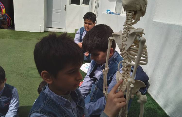 زنگ علوم: معرفی ستون مهره و شش