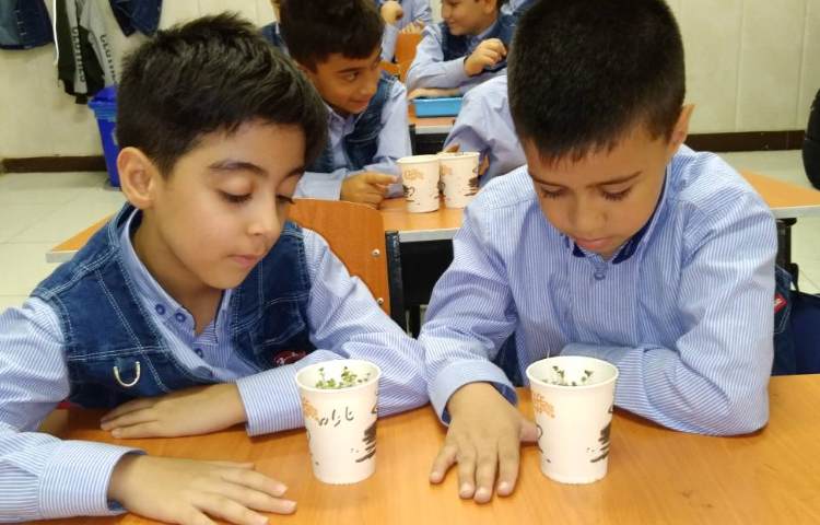 زنگ علوم: مقایسه جوانه زدن گیاهان کاشته شده در جای گرم و سرد 1