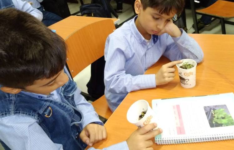 زنگ علوم: مقایسه جوانه زدن گیاهان کاشته شده در جای گرم و سرد 3