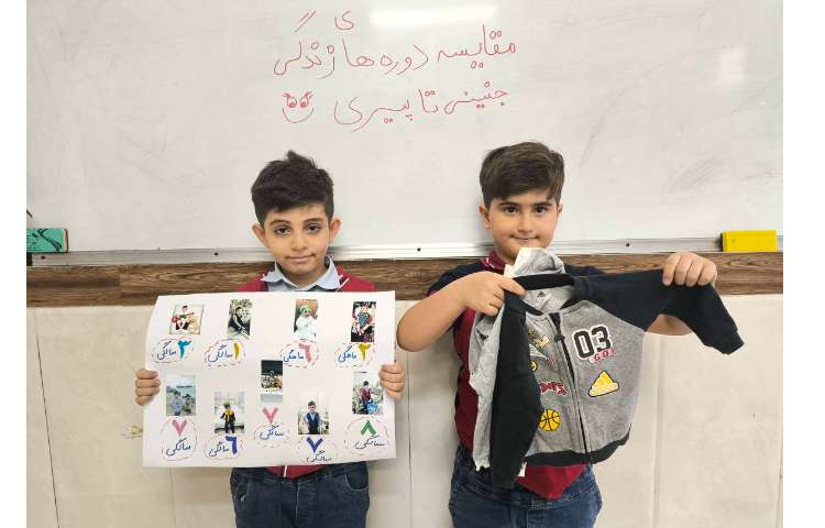 زنگ علوم - مقایسه دوره های زندگی «جنینی تا پیری» 8