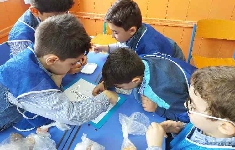 زنگ علوم موضوع: پروژه‌ی تابلوی حبوبات 1