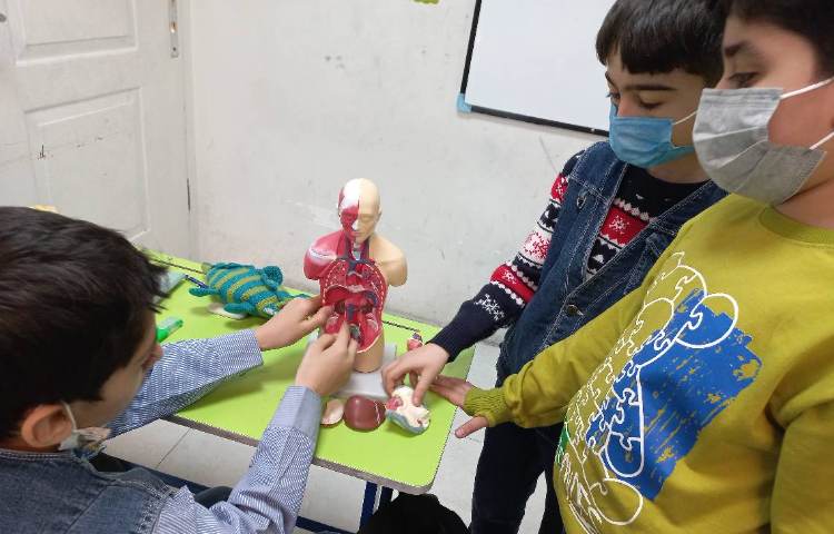 زنگ علوم و بررسی سیستم تنفس 1