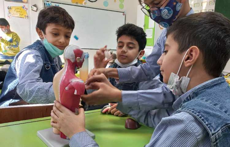 زنگ علوم و بررسی سیستم تنفس 2