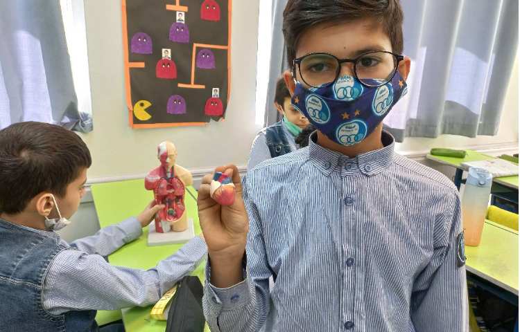 زنگ علوم و بررسی سیستم تنفس 3