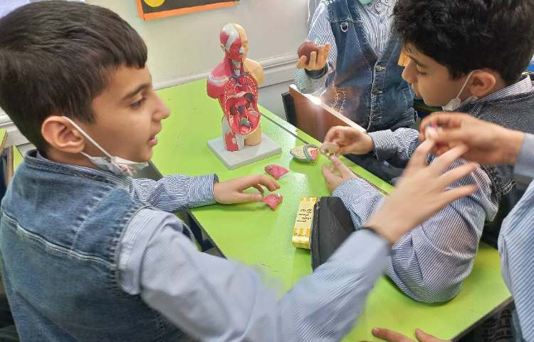 زنگ علوم و بررسی سیستم تنفس 4