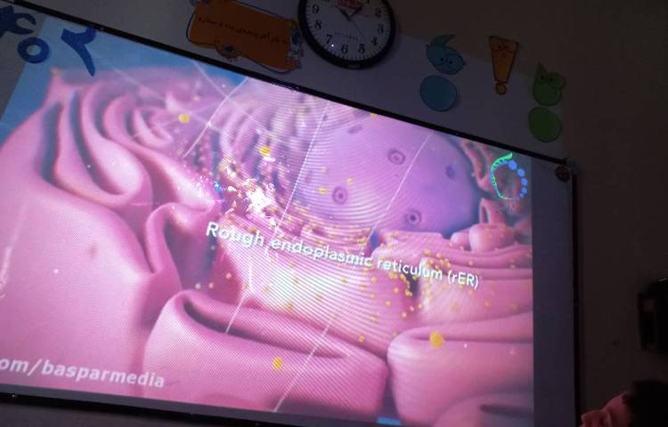 زنگ علوم و بررسی قسمت های سلول با استفاده از تخم مرغ 1