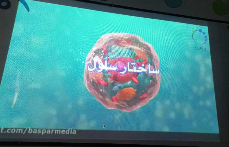 زنگ علوم و بررسی قسمت های سلول با استفاده از تخم مرغ 2